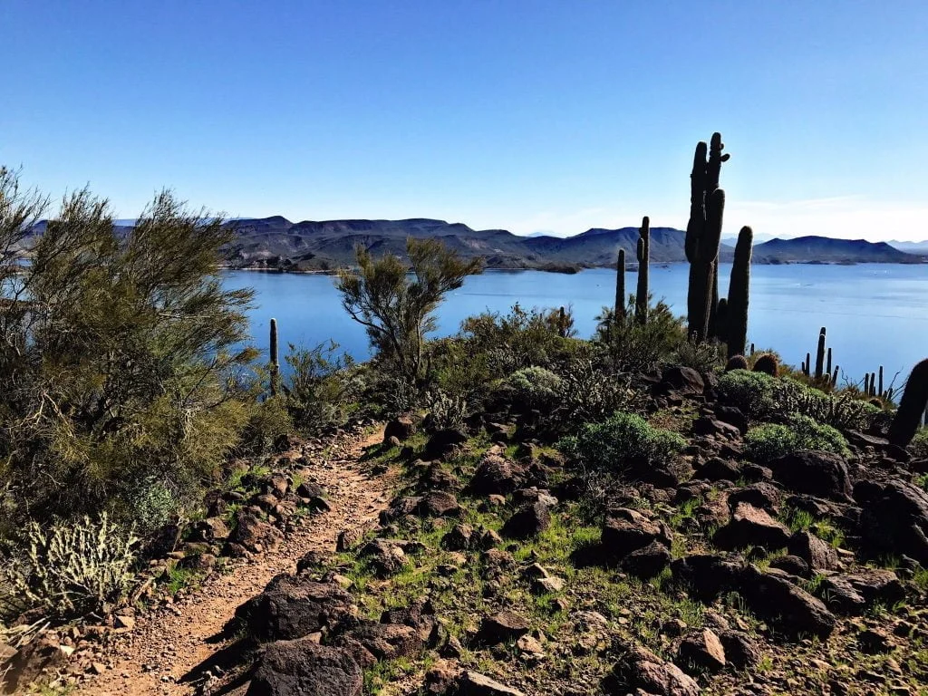 Trails - <a href="https://www.alltrails.com/parks/us/arizona/lake-pleasant-regional-park">Photo Source</a>