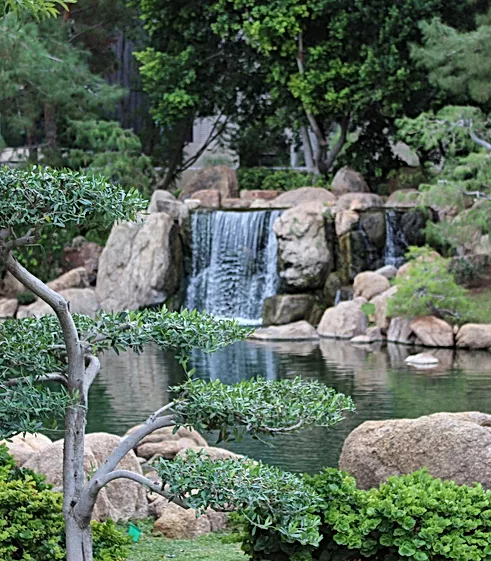 Waterfall @ Japanese Friendship Garden Must See Phoenix - <a href="https://www.japanesefriendshipgarden.org/about">Photo Source</a>