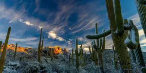 The stunning Phoenix Sonoran Desert Preserve is waiting for you!