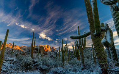 The stunning Phoenix Sonoran Desert Preserve is waiting for you!