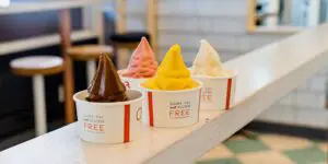 How to Beat the Heat with Froyo: A Guide to the 5 Best Shops in Phoenix