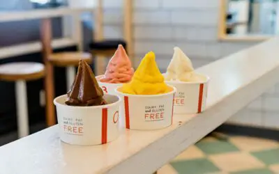 How to Beat the Heat with Froyo: A Guide to the 5 Best Shops in Phoenix