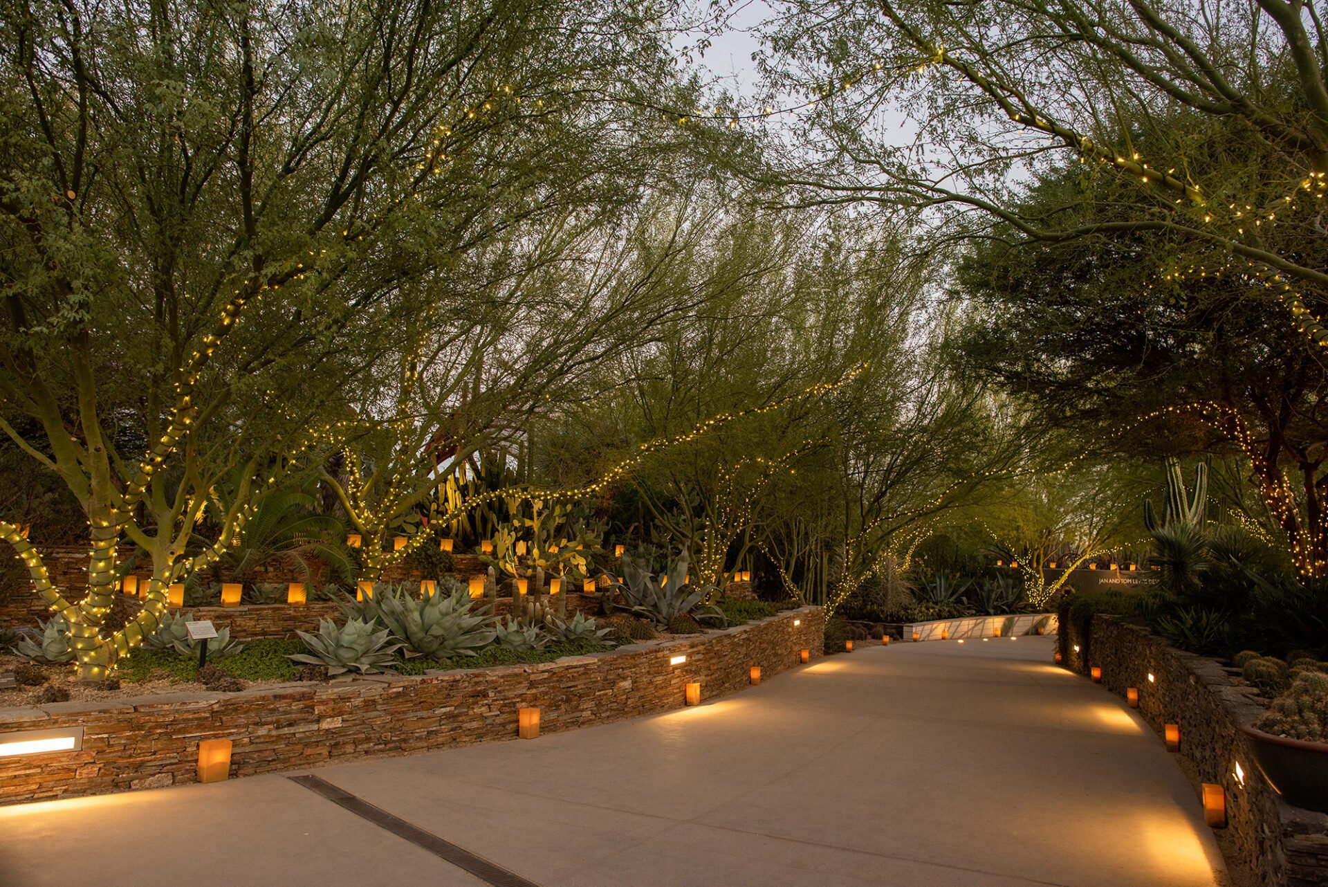 7-best-date-spots-in-phoenix-lost-in-phoenix