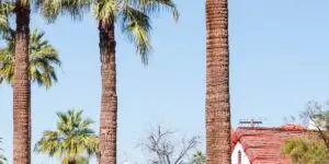 Discovering the Wonders of Phoenix Encanto- A Neighborhood Guide - Featured - Photo Source