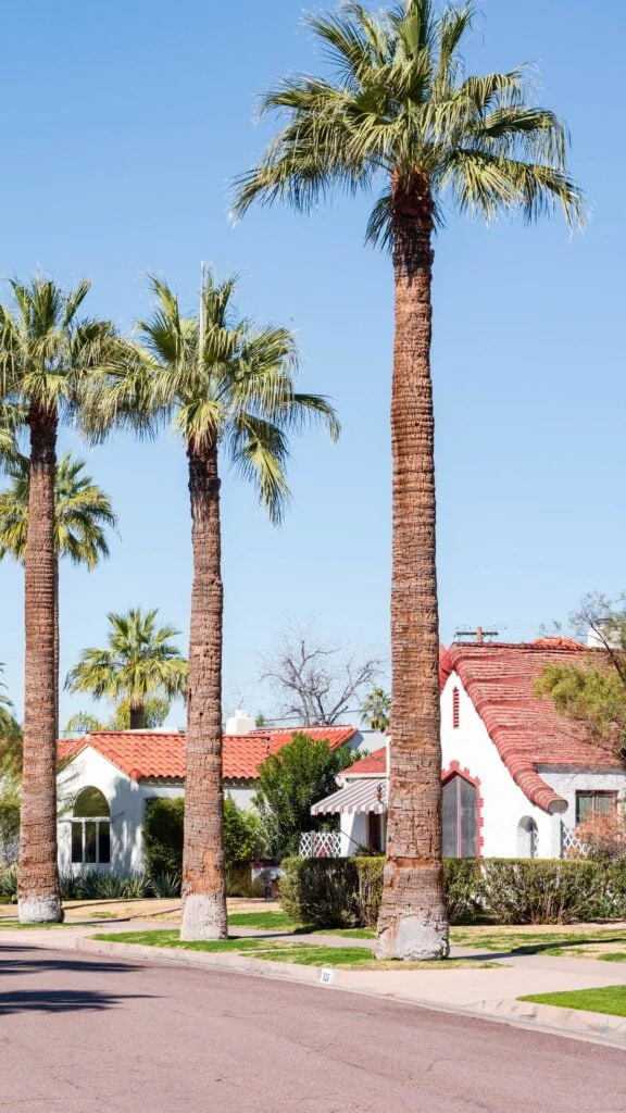 Discovering the Wonders of Phoenix Encanto- A Neighborhood Guide - Featured - Photo Source