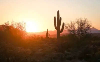 The Ultimate Guide to Things to Do in Phoenix
