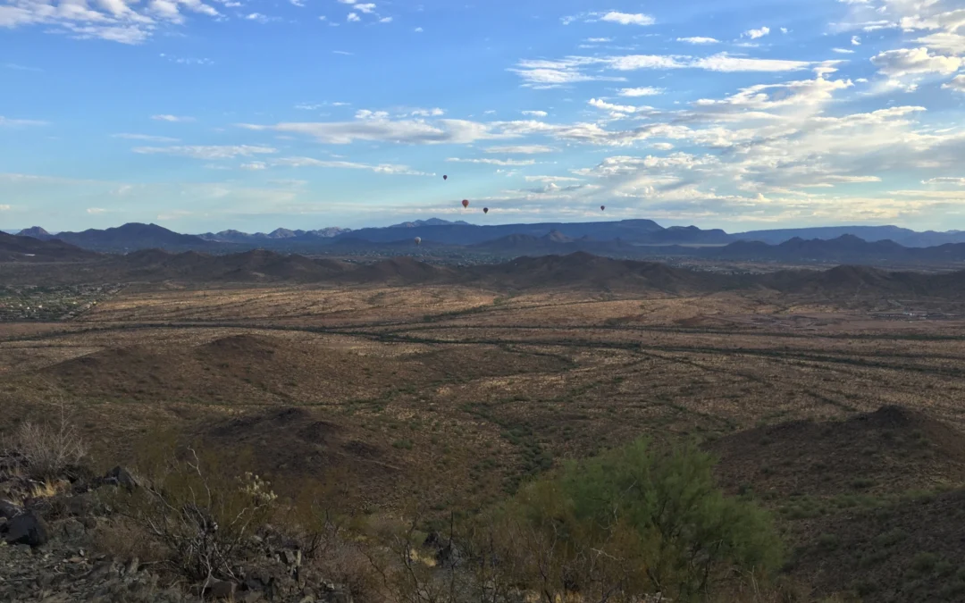Phoenix Desert View Urban Village: Unveiling the Heart of the Sonoran Mirage