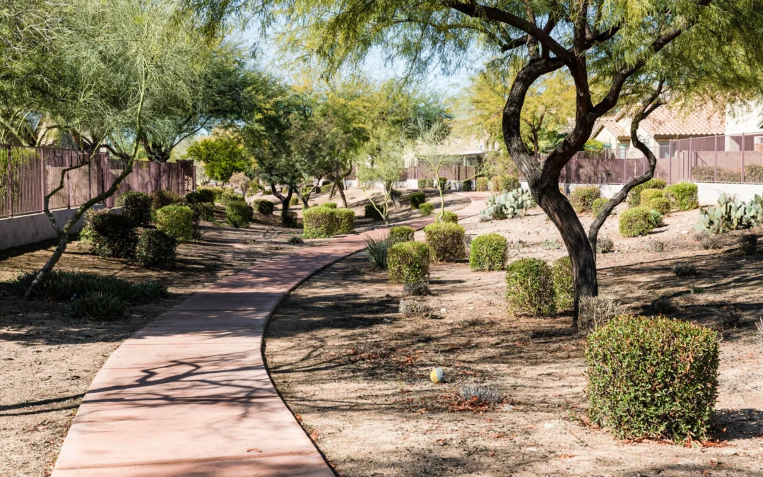 Unveiling the Vibrancy of Phoenix North Gateway Urban Village: The Gem of Arizona