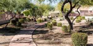 Unveiling the Vibrancy of Phoenix North Gateway Urban Village: The Gem of Arizona