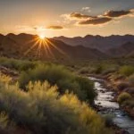 Tonto National Forest: Exploring Arizona's Natural Gem